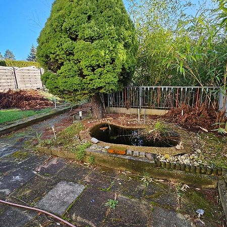 Haus Mit Garten Halle  Ngoại thất bức ảnh